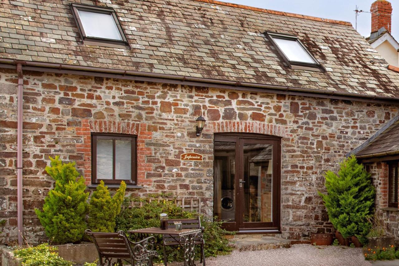 Downe Cottages Hartland Εξωτερικό φωτογραφία